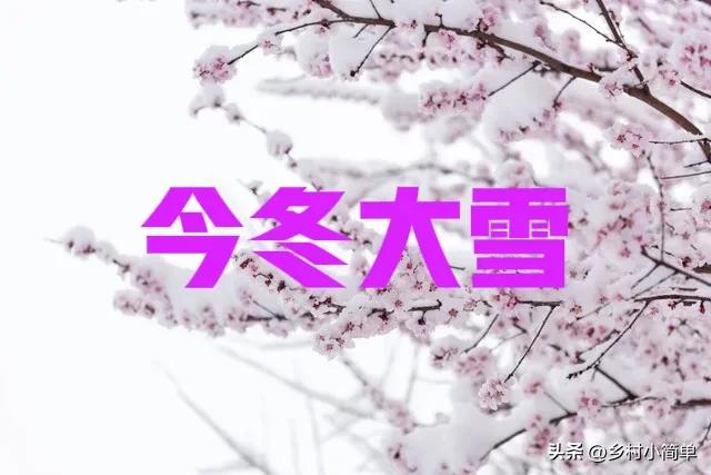 明日霜降不一般，老人说“大雪来不来，就看霜降”，今冬大雪？