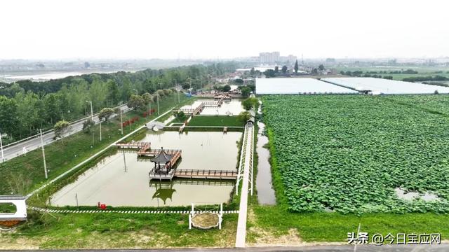 宝应军师村