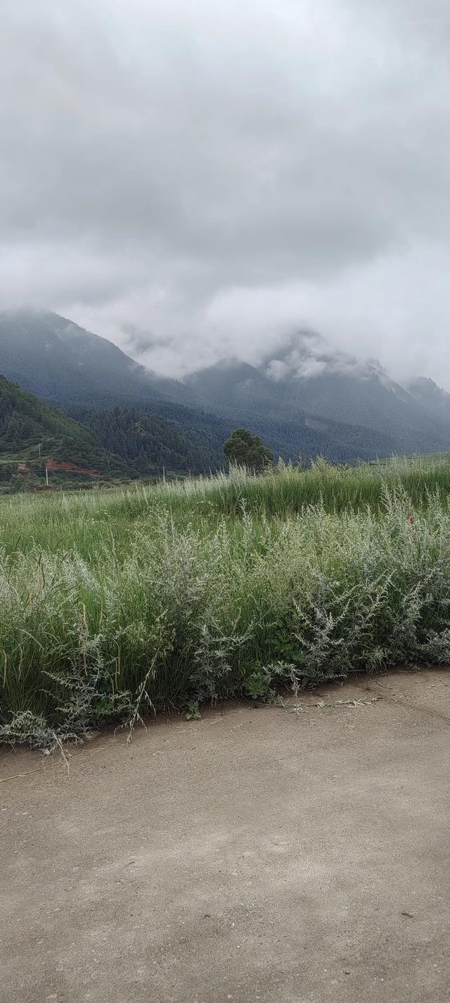 马蹄寺千佛洞旅游文化景区。