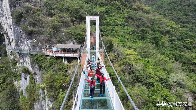 广西融安：秋高气爽引客来