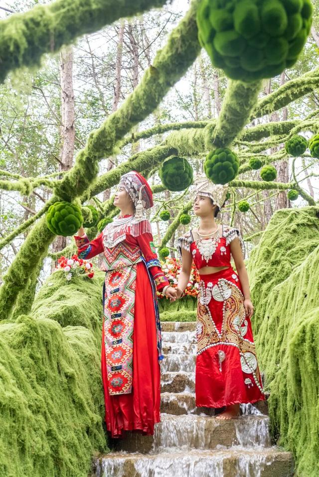一路向北！解锁黄陂秋游 “隐藏副本” ！