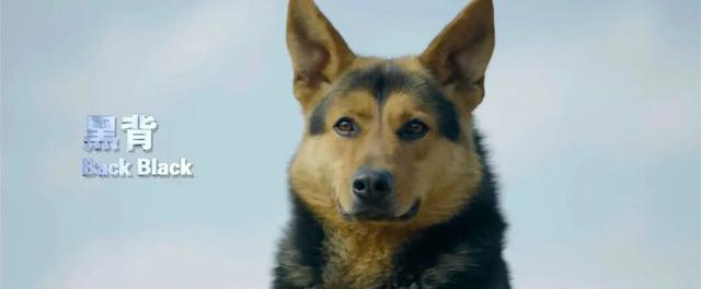 昆明：走遍天下的金字招牌