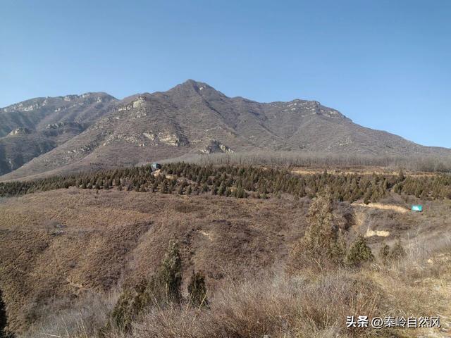 雪后初霁登顶嵯峨山，走荒野雪原，看千年悟空塔，感受历史的烟云
