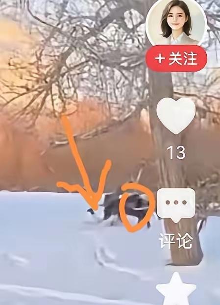 舅舅曝贺娇龙临终细节，靠机器维持心跳	，最后一条朋友圈让人泪目