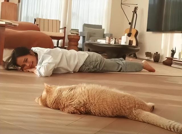 62岁韦唯现状：脊柱断裂已恢复，前夫已死，3个混血儿子回国相伴