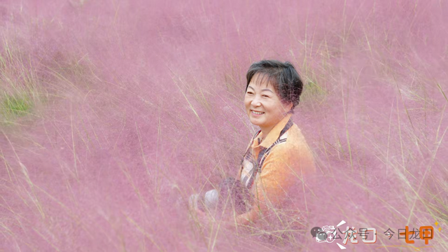 网红打卡点！龙口两处“粉色云海”，不少人跑去耍！错过再等一年