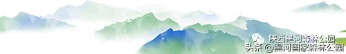 立减10℃!绿色天然避暑胜地,就在黑河国家森林公园→