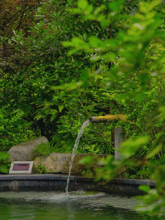 金佛山秋色的含金量，被低估了！🍂