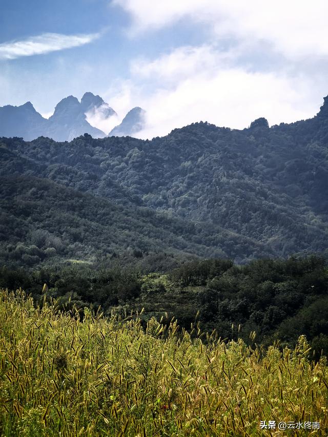蓝田的美，美在隐秘：这是山边一条少有人走的路，我却走过很多次