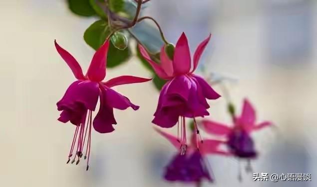 两性关系：女人暗示你可以“泡她”的6个信号	，男人别再装傻了