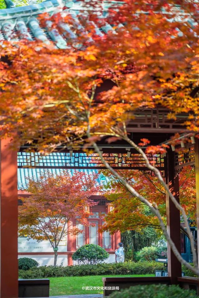 最新发现！2公里“金色隧道”，武汉人私藏了60年！