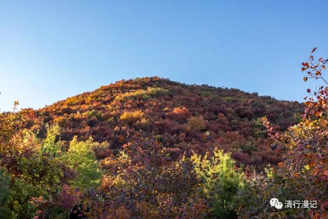 京郊游之坡峰岭