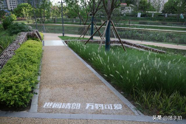实拍江苏苏州昆山花桥梅浦河海绵城市公园，“会呼吸”的绿地