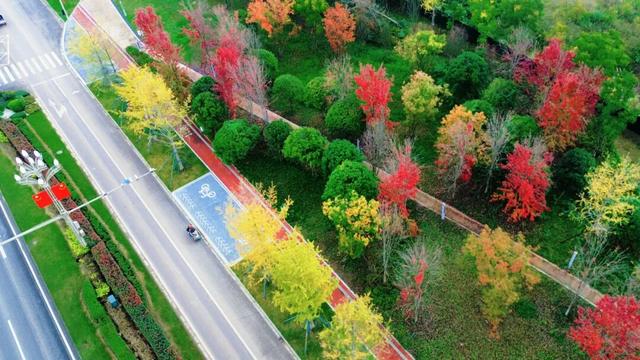 在眉山天府新区，遇见五彩斑斓的初冬！