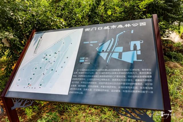 前人栽树后人乘凉！这儿还是您熟悉的衙门口吗？