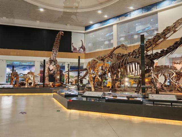 我是成都人，刚从甘肃刘家峡回来，憋了 6 个疑问不吐不快