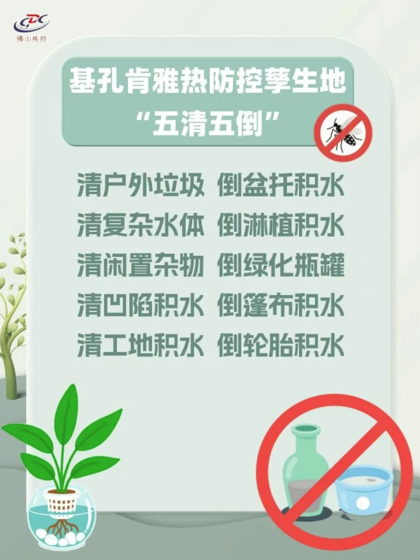 基孔肯雅热暴发 到底有多难受