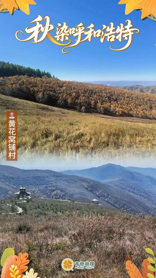 再过几天，呼和浩特就要变成这样了→