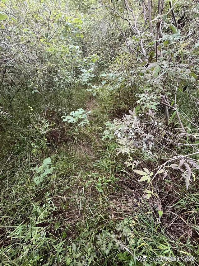 章丘胡山里的圣水灵泉庙，我都找着路线了，却近在咫尺未能抵达
