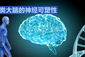重塑大脑回路，难道只有重复才是最佳方案吗？图片