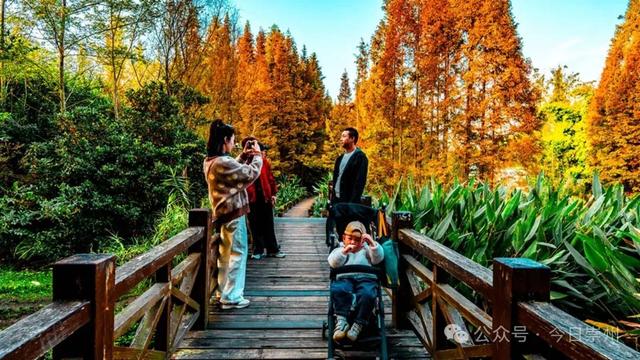 “杉杉”来了！崇州免门票小众宝藏秘境