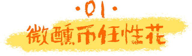 8.15-17夏夜狂欢！微醺武夷山N种快乐，速抢攻略！