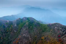 3000元现金奖励！滨州一地征集文旅宣传口号！图片