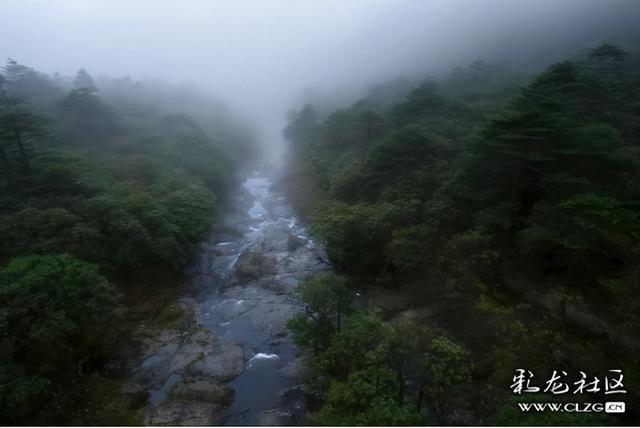 迷雾森林-探秘轿子山