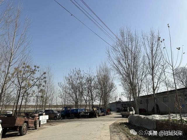 冠县乡韵·辛集镇饮马庄