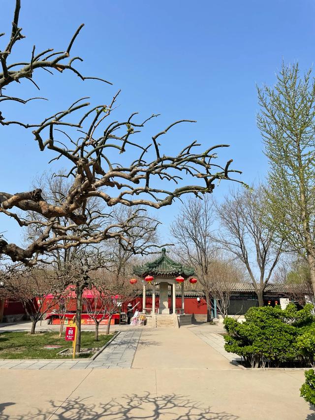 去了趟河北正定，真心建议：不要随便去河北正定，除非你知道这些