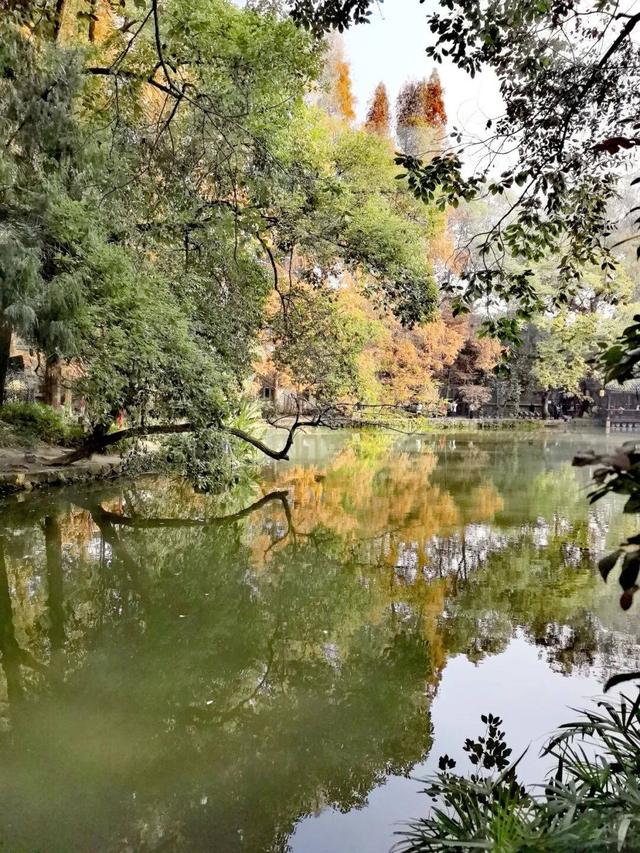 【文史英华】崇州陆游祠的600年炽热守望‖雷仕忠