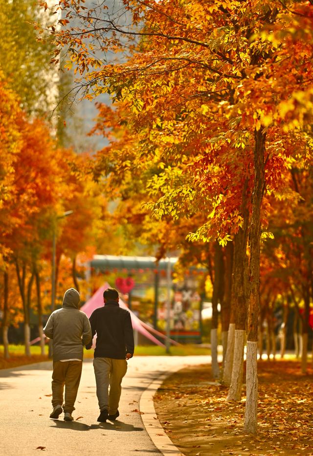 秋之彩色吉林 | 长春深藏一片“工业金秋”