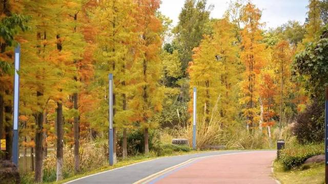 哇！金堂这里漂亮得不得了