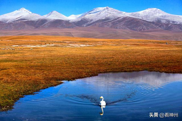 新疆八大世界之最和八大中国之最