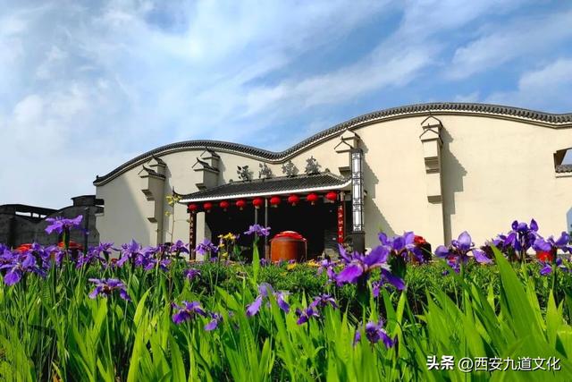 获评3A级景区，城固酒业打造区域酒企文旅突围“实战样本”