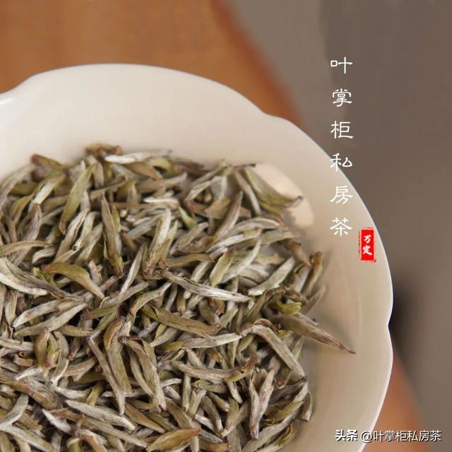 告别“喝茶纠结症”！老白茶、红茶、熟普洱，天天喝也不怕