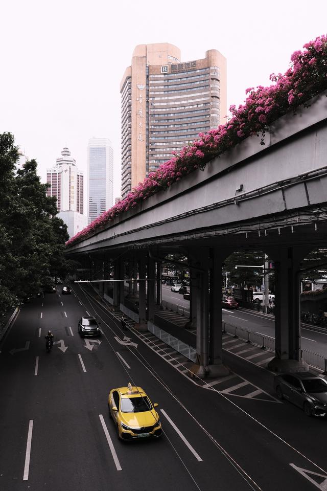 入门挂机镜头首选！富士龙XC13-33mm F3.5-6.3 OIS上手评测