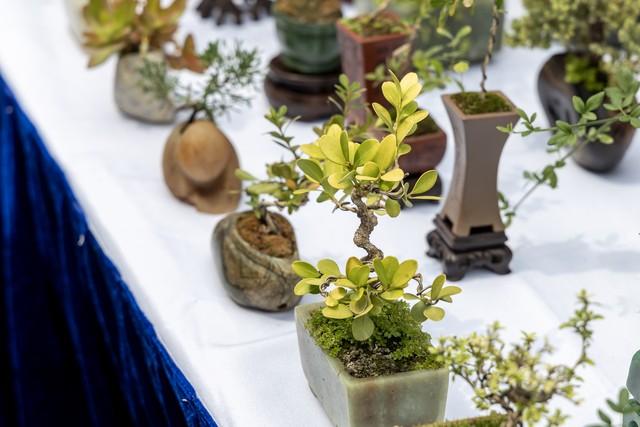 2026年元旦假期，有2个好消息，记得：1不留，2不囤，3处不能空