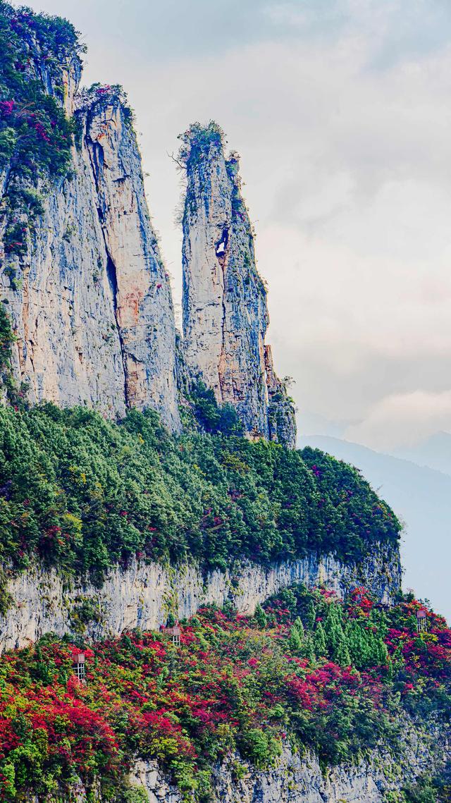 一江碧水，两岸红叶，静看三峡绚丽之秋