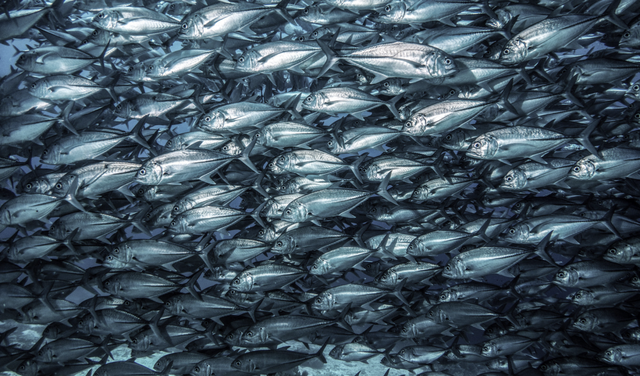 正式官宣！菲律宾对华免签！最全攻略看这里