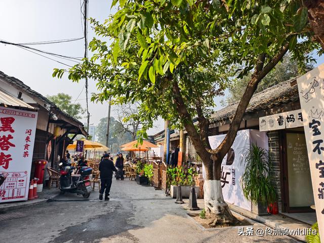 四川行(75)广汉②金雁湖公园·黑塔街·龙居寺