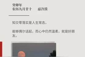 到此为止吧，再爱就不礼貌了图片