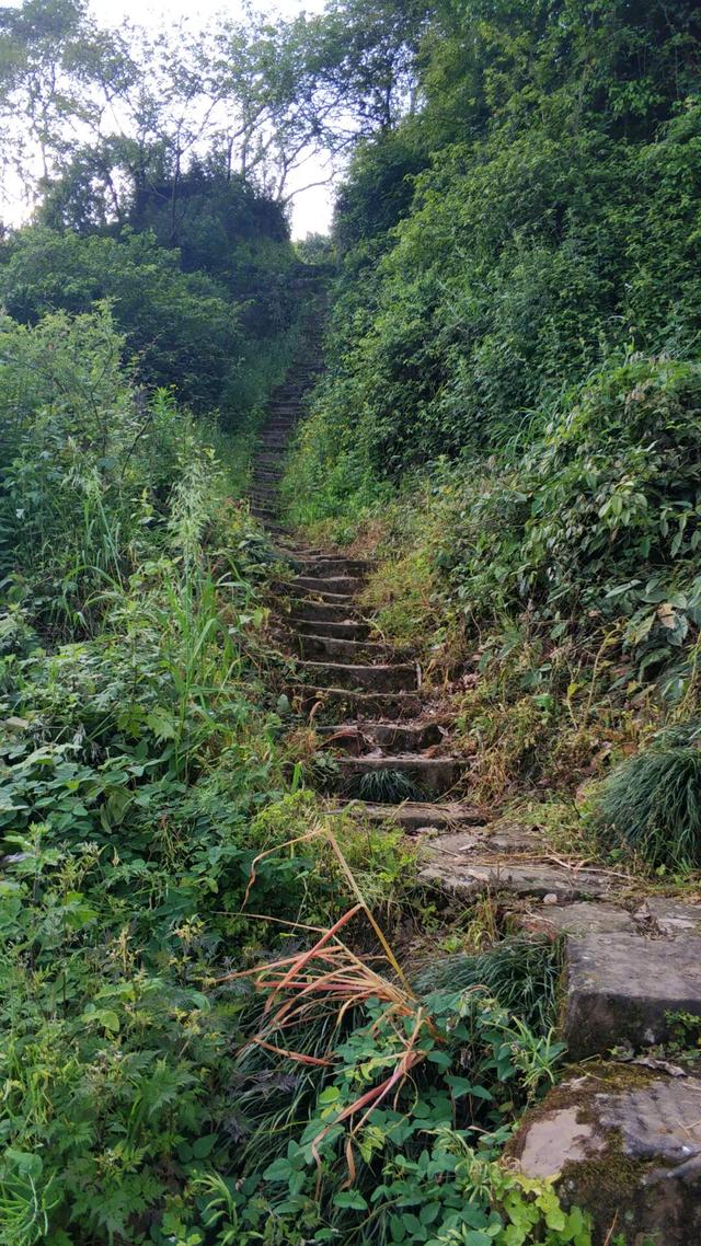 重庆九龙坡有一座明朝大寨，拥有18道城门，相传张献忠在此称帝