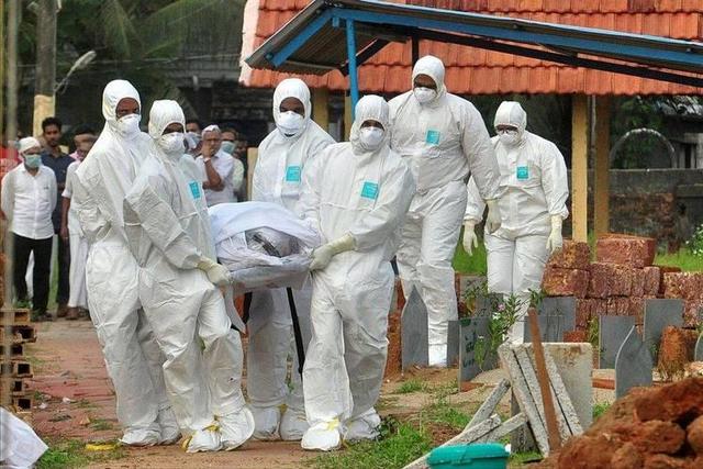 警惕！尼帕病毒杀疯了！紧急喊停3种饭，提前做好4件事能救命