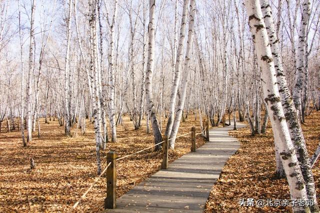 周末逃离人潮！京郊“小喀纳斯”喇叭沟门赏秋指南