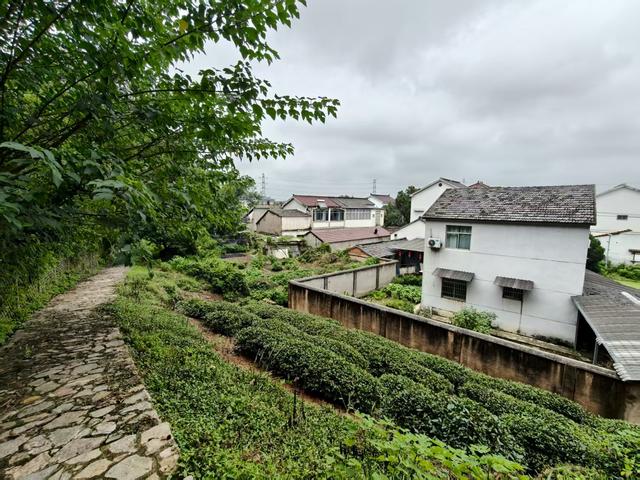 江宁汤山七坊，随便走走又何妨