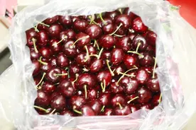 早晨上车，中午上市，下午上桌……车厘子的一天图片