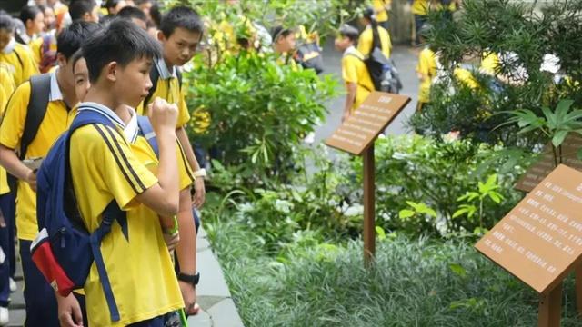 “冬养罗浮”康养品牌发布！在引领区过冬是怎样一种体验？