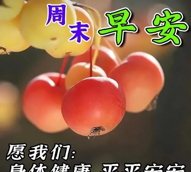 清晨早安心语，早上好文案元气满满，祝福新的一天，幸福快乐