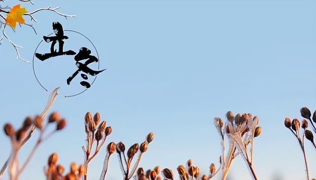 后天立冬！“上午立冬十栏九空，下午立冬单衣过冬”，今冬冷吗？